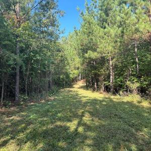 Photo #20 of 799 Sunnyside Rd, Arvonia, VA 140.0 acres