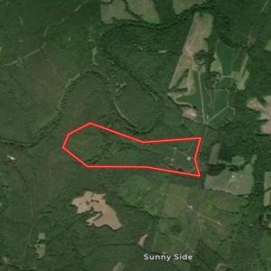Photo #4 of 799 Sunnyside Rd, Arvonia, VA 140.0 acres