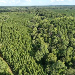Photo #23 of 799 Sunnyside Rd, Arvonia, VA 140.0 acres