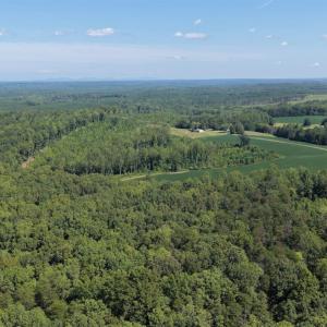 Photo #43 of 799 Sunnyside Rd, Arvonia, VA 140.0 acres