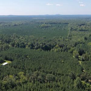 Photo #5 of 799 Sunnyside Rd, Arvonia, VA 140.0 acres