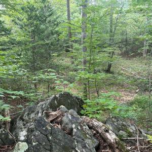 Photo #19 of 799 Sunnyside Rd, Arvonia, VA 140.0 acres