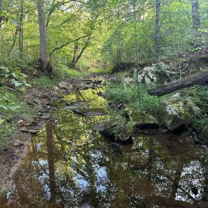 Photo #3 of 799 Sunnyside Rd, Arvonia, VA 140.0 acres