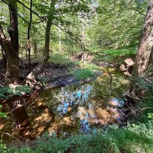 Photo #26 of 799 Sunnyside Rd, Arvonia, VA 140.0 acres