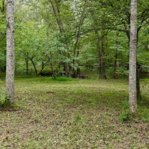 Photo #28 of 799 Sunnyside Rd, Arvonia, VA 140.0 acres