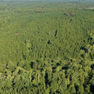 Photo #37 of 799 Sunnyside Rd, Arvonia, VA 140.0 acres