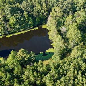 Photo #42 of 799 Sunnyside Rd, Arvonia, VA 140.0 acres