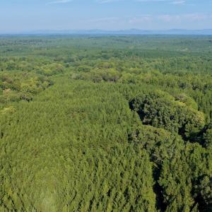 Photo #39 of 799 Sunnyside Rd, Arvonia, VA 140.0 acres