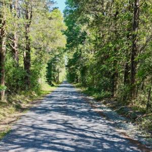 Photo #38 of 799 Sunnyside Rd, Arvonia, VA 140.0 acres
