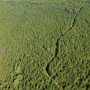 Photo #36 of 799 Sunnyside Rd, Arvonia, VA 140.0 acres