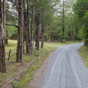 Photo #14 of 799 Sunnyside Rd, Arvonia, VA 140.0 acres