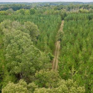 Photo #18 of 799 Sunnyside Rd, Arvonia, VA 140.0 acres