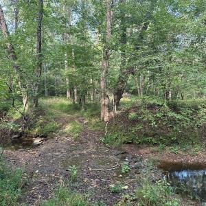 Photo #13 of 799 Sunnyside Rd, Arvonia, VA 140.0 acres
