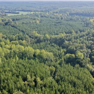 Photo #34 of 799 Sunnyside Rd, Arvonia, VA 140.0 acres