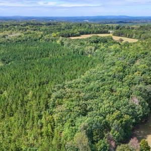 Photo #31 of Tabor Road, Gladys, VA 40.6 acres