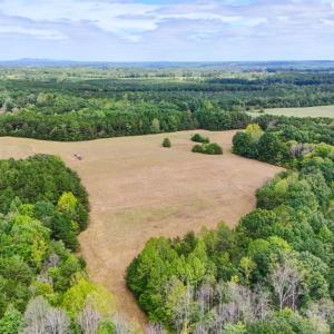 Photo #24 of Tabor Road, Gladys, VA 40.6 acres