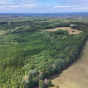 Photo #11 of Tabor Road, Gladys, VA 40.6 acres
