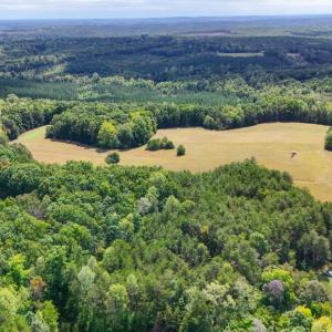 Photo #15 of Tabor Road, Gladys, VA 40.6 acres
