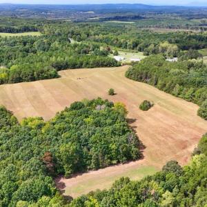 Photo #7 of Tabor Road, Gladys, VA 40.6 acres