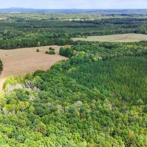 Photo #23 of Tabor Road, Gladys, VA 40.6 acres