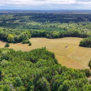 Photo #5 of Tabor Road, Gladys, VA 40.6 acres