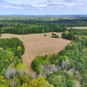 Photo #4 of Tabor Road, Gladys, VA 40.6 acres