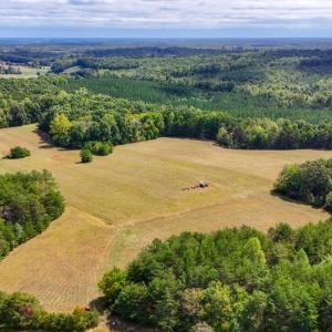 Photo #28 of Tabor Road, Gladys, VA 40.6 acres