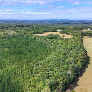Photo #17 of Tabor Road, Gladys, VA 40.6 acres