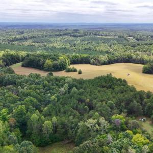 Photo #20 of Tabor Road, Gladys, VA 40.6 acres