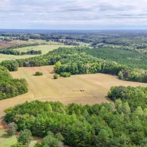 Photo #2 of Tabor Road, Gladys, VA 40.6 acres
