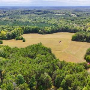 Photo #19 of Tabor Road, Gladys, VA 40.6 acres