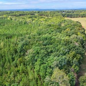 Photo #30 of Tabor Road, Gladys, VA 40.6 acres