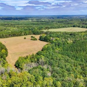 Photo #6 of Tabor Road, Gladys, VA 40.6 acres