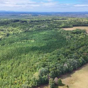 Photo #12 of Tabor Road, Gladys, VA 40.6 acres