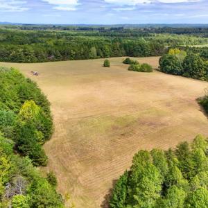 Photo #8 of Tabor Road, Gladys, VA 40.6 acres