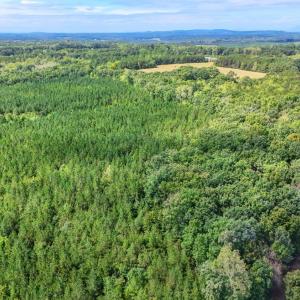 Photo #16 of Tabor Road, Gladys, VA 40.6 acres