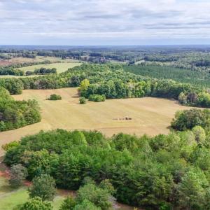 Photo #18 of Tabor Road, Gladys, VA 40.6 acres