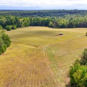 Photo #10 of Tabor Road, Gladys, VA 40.6 acres