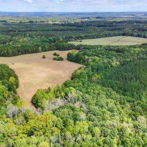 Photo #22 of Tabor Road, Gladys, VA 40.6 acres