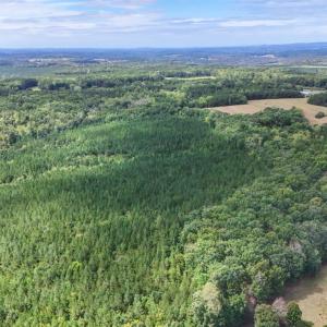 Photo #13 of Tabor Road, Gladys, VA 40.6 acres