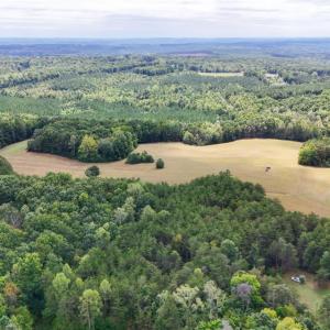 Photo #21 of Tabor Road, Gladys, VA 40.6 acres