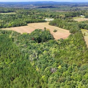 Photo #32 of Tabor Road, Gladys, VA 40.6 acres