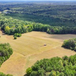 Photo #26 of Tabor Road, Gladys, VA 40.6 acres