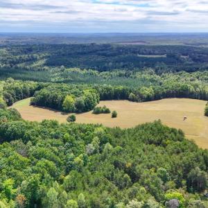 Photo #27 of Tabor Road, Gladys, VA 40.6 acres