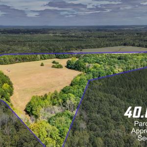 Photo #1 of Tabor Road, Gladys, VA 40.6 acres