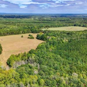 Photo #29 of Tabor Road, Gladys, VA 40.6 acres