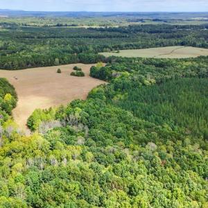 Photo #14 of Tabor Road, Gladys, VA 40.6 acres