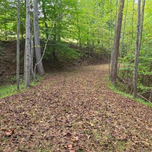 Photo #14 of BROOKWOOD Drive, Evington, VA 3.8 acres