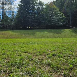 Photo #3 of BROOKWOOD Drive, Evington, VA 3.8 acres