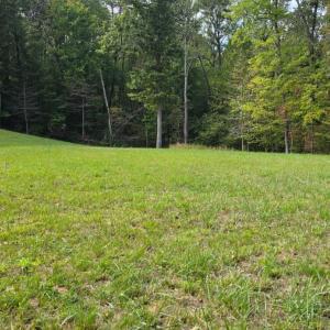 Photo #4 of BROOKWOOD Drive, Evington, VA 3.8 acres